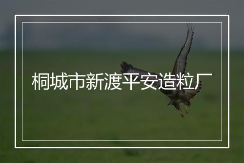桐城市新渡平安造粒厂
