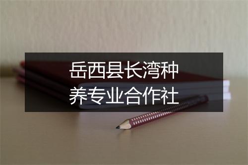 岳西县长湾种养专业合作社