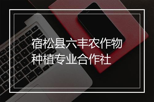 宿松县六丰农作物种植专业合作社