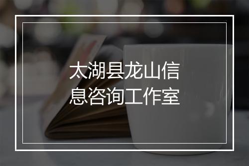 太湖县龙山信息咨询工作室