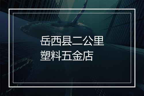 岳西县二公里塑料五金店