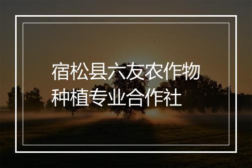 宿松县六友农作物种植专业合作社