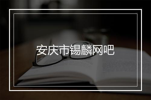 安庆市锡麟网吧