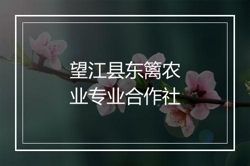 望江县东篱农业专业合作社