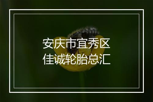安庆市宜秀区佳诚轮胎总汇
