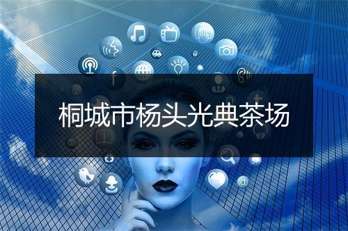 桐城市杨头光典茶场