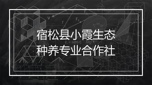 宿松县小霞生态种养专业合作社