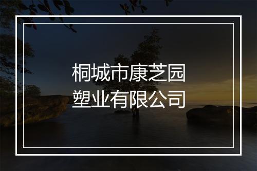桐城市康芝园塑业有限公司