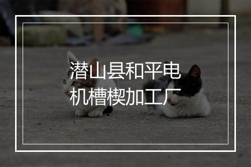 潜山县和平电机槽楔加工厂