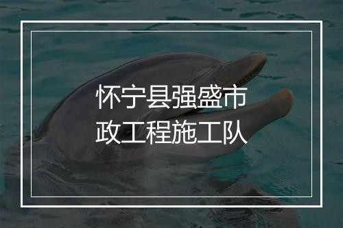 怀宁县强盛市政工程施工队