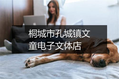桐城市孔城镇文童电子文体店