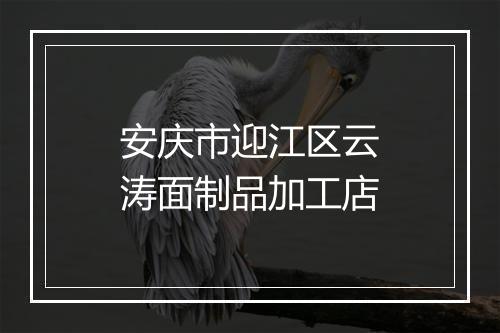 安庆市迎江区云涛面制品加工店