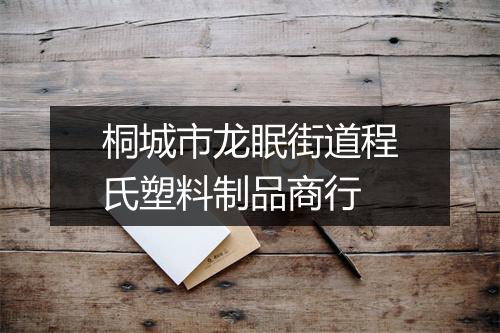桐城市龙眠街道程氏塑料制品商行