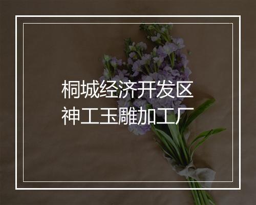 桐城经济开发区神工玉雕加工厂