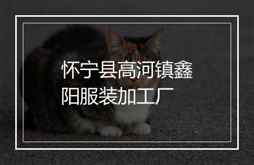 怀宁县高河镇鑫阳服装加工厂