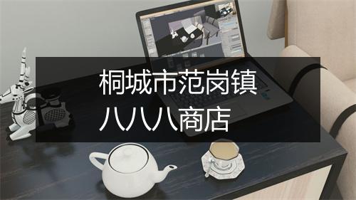 桐城市范岗镇八八八商店