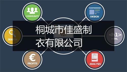 桐城市佳盛制衣有限公司