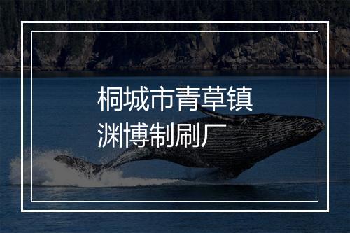 桐城市青草镇渊博制刷厂
