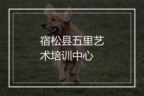 宿松县五里艺术培训中心