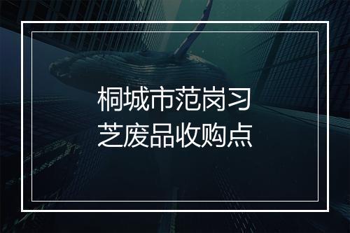 桐城市范岗习芝废品收购点