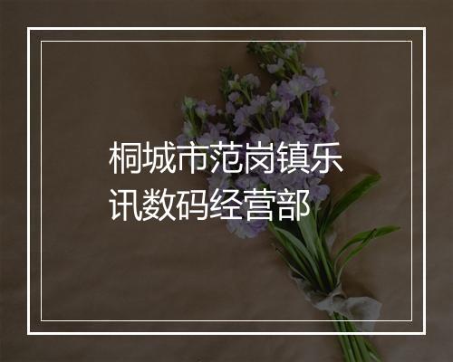桐城市范岗镇乐讯数码经营部