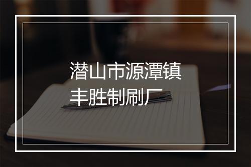 潜山市源潭镇丰胜制刷厂