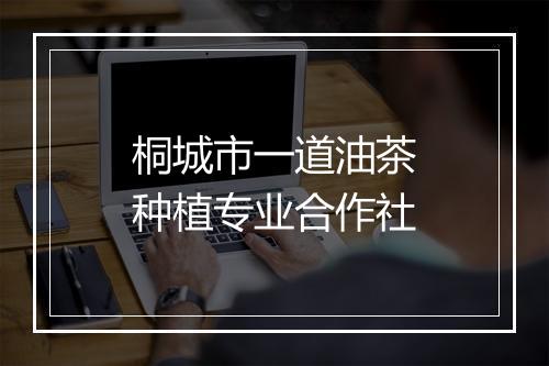 桐城市一道油茶种植专业合作社