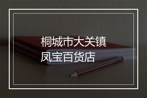 桐城市大关镇凤宝百货店