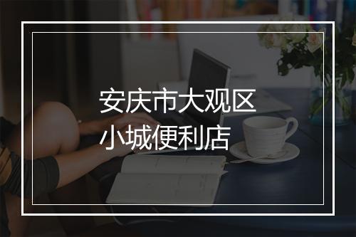 安庆市大观区小城便利店