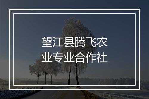 望江县腾飞农业专业合作社