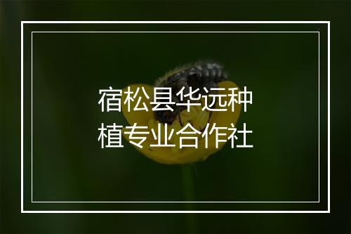 宿松县华远种植专业合作社
