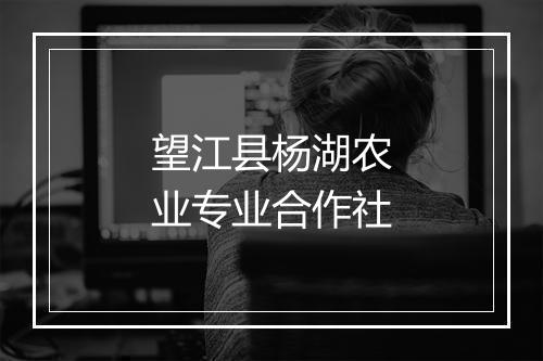 望江县杨湖农业专业合作社