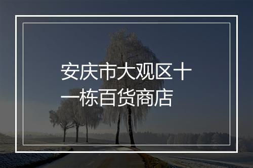 安庆市大观区十一栋百货商店