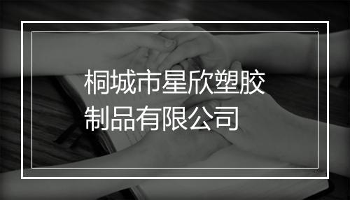 桐城市星欣塑胶制品有限公司