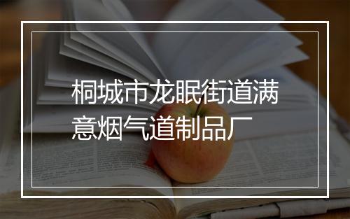 桐城市龙眠街道满意烟气道制品厂