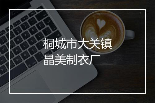 桐城市大关镇晶美制衣厂