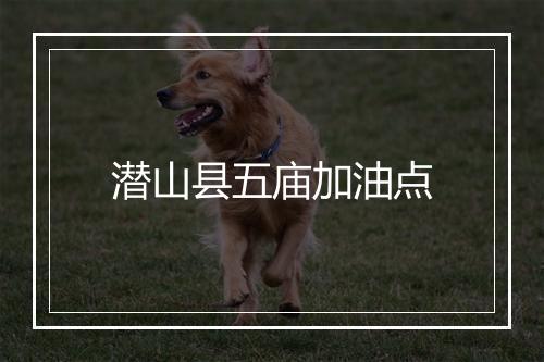 潜山县五庙加油点