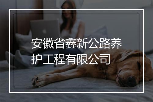安徽省鑫新公路养护工程有限公司