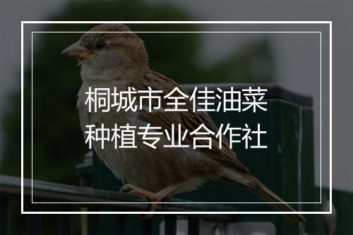 桐城市全佳油菜种植专业合作社