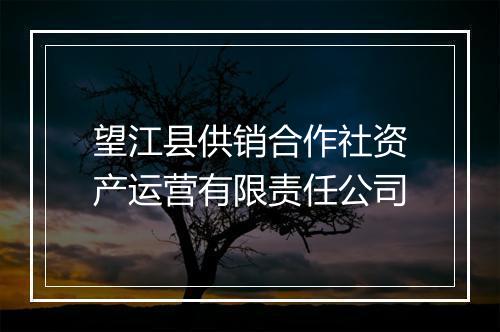 望江县供销合作社资产运营有限责任公司