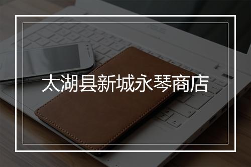 太湖县新城永琴商店