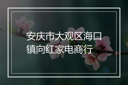 安庆市大观区海口镇向红家电商行