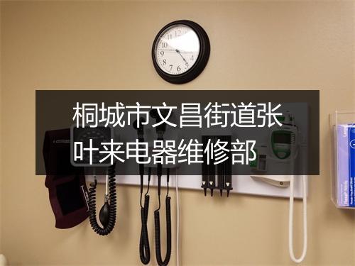 桐城市文昌街道张叶来电器维修部