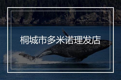 桐城市多米诺理发店