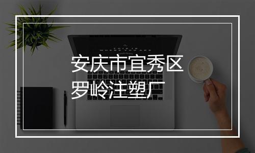 安庆市宜秀区罗岭注塑厂