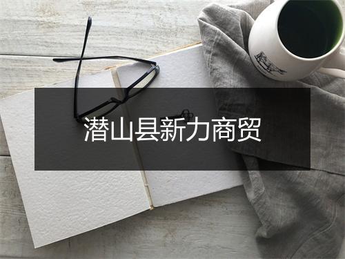 潜山县新力商贸