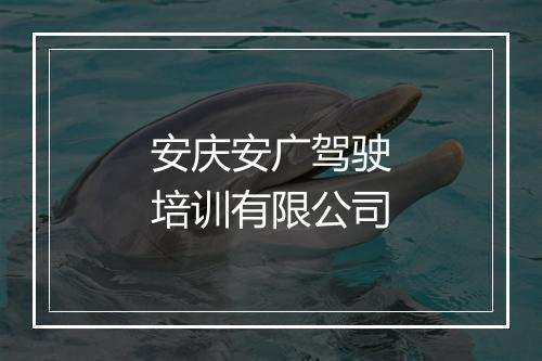 安庆安广驾驶培训有限公司
