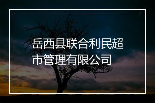 岳西县联合利民超市管理有限公司