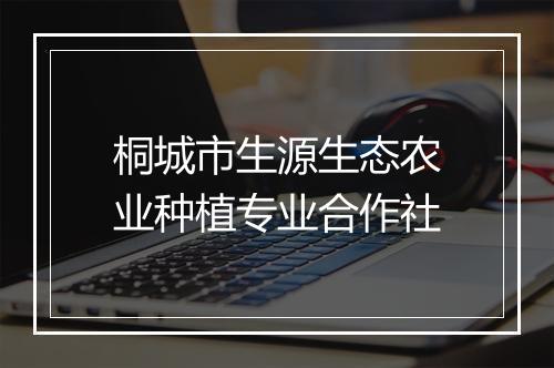 桐城市生源生态农业种植专业合作社