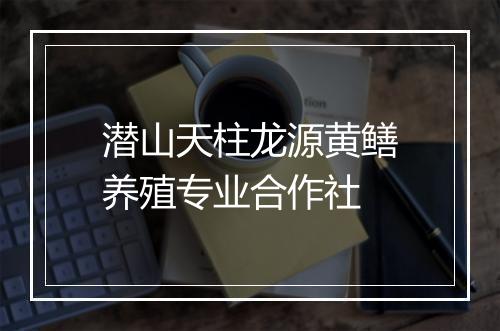 潜山天柱龙源黄鳝养殖专业合作社